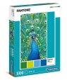 Puzzle 1000: High Quality Collection Pantone Peacock Blue