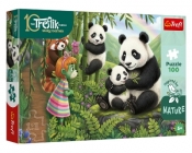 Puzzle 100 Inspired By Nature - Pandy