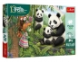 Puzzle 100 Inspired By Nature - Pandy