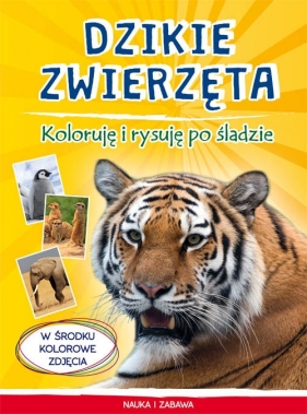 Dzikie zwierzęta. Koloruję i rysuję po śladzie - Monika Myślak