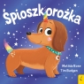 Sklepik z magicznymi zwierzętami. Śpioszkorożka Matilda Rose