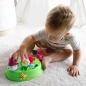 Carotina Baby - Sorter: Krasnale i kwiaty