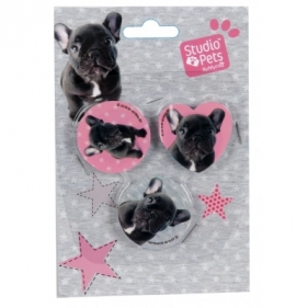 Zestaw 3 gumek Studio Pets PEI-3513