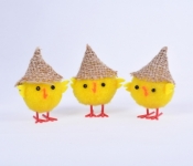 Kurczaki w kapeluszu (YX5952)