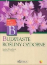 Bulwiaste rośliny ozdobne Kresadlova Lenka, Vilim Stanislav