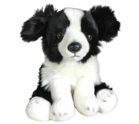 Border Collie 30cm