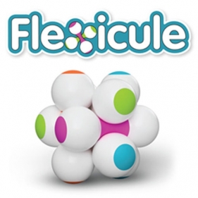 Flexicule Łamigłówka dla malucha