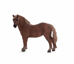 Klacz rasy Suffolk Punch ANIMAL PLANET (87195)