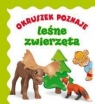 Okruszek poznaje - leśne zwierzęta wyd.2017 Anna Wiśniewska, Elżbieta Śmietanka-Combik (ilust
