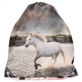 Worek na buty Horse PP22HR-712 PASO