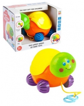 Żółwik plastikowy