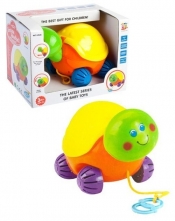 Żółwik plastikowy