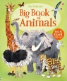 Big Book of Animals Maskell Hazel
