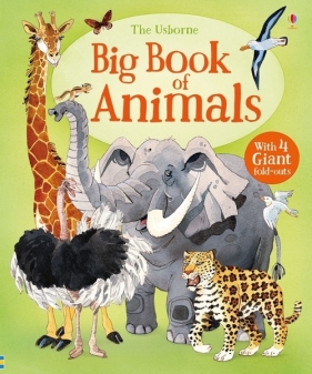 Big Book of Animals - Maskell Hazel