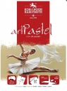 Blok do pasteli artpastel sepia A3 20 kartek 180G.