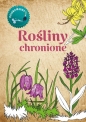 Rośliny chronione. Kolorowanka - Katarzyna Kopiec-Sekieta