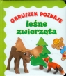 Okruszek poznaje leśne zwierzęta Anna Wiśniewska