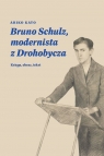 Bruno Schulz, modernista z DrohobyczaKsięga, obraz, tekst Ariko Kato