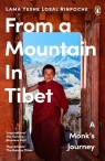 From a Mountain In Tibet Rinpoche	 Yeshe Losal