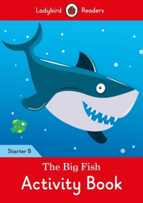 The Big Fish Activity Book