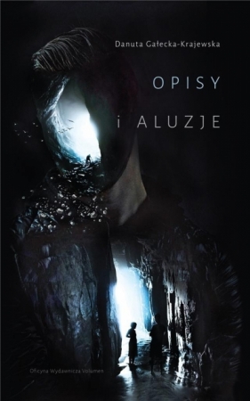 Opisy i aluzje - Danuta Gałecka-Krajewska