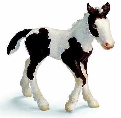 SCHLEICH ŹREBIĘ RASY TIN KEL