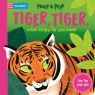 Tiger, Tiger, what stripy fur you have! Teresa Bellon