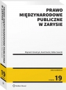 Prawo międzynarodowe publiczne w zarysie Wojciech Góralczyk, Karol Karski, Stefan Sawicki