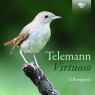 Telemann: Virtuoso  Ensemble Il Rossignolo