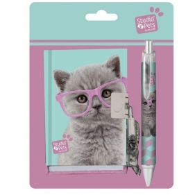 Zestaw szkolny Studio Pets turkusowo-różowy (PTF-3643)
