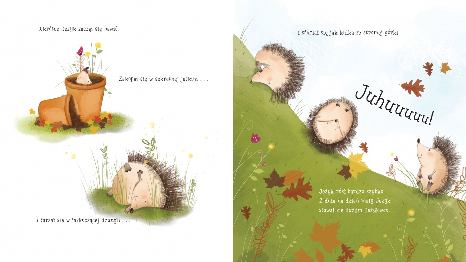 <img src='https://webimage.pl/pics/957/1/d9788324181957---1.jpg'>