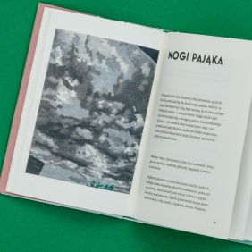 Nie mówi się takich rzeczy - Hanna Krall, Zbigniew Libera