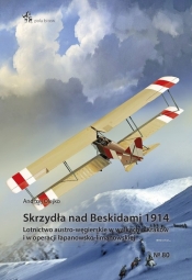 Skrzydła nad Beskidami 1914 - Olejko Andrzej