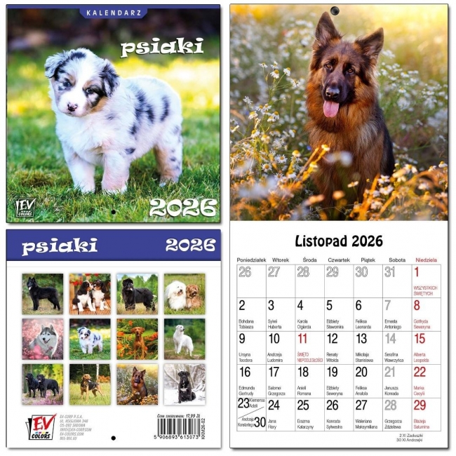 <img src='https://webimage.pl/pics/957/3/d5906893613073.jpg'>