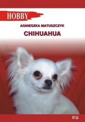 Chihuahua - Matuszczyk Agnieszka