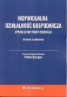 Indywidualna działalność gospodarcza