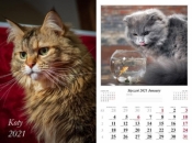 Kalendarz planszowy 2021 - Koty 13