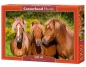 Puzzle 1000: Horse Friends (C-103959)