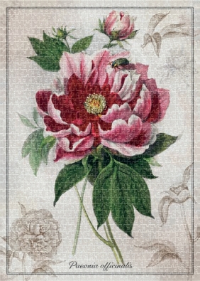 Puzzle 1000: Botanic Peony