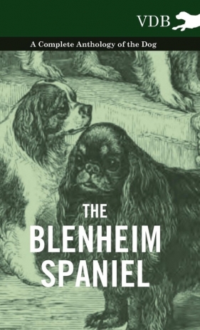 The Blenheim Spaniel - A Complete Anthology of the Dog - - Various
