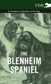 The Blenheim Spaniel - A Complete Anthology of the Dog -