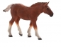 Źrebię rasy Suffolk Punch ANIMAL PLANET (87196)