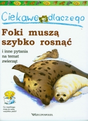 Ciekawe dlaczego foki muszą szybko rosnąć i inne pytania na temat zwierząt