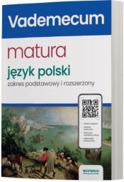 Matura 2025 Język polski Vademecum ZRiP - Magdalena Steblecka-Jankowska, Renata Janicka-Szyszko