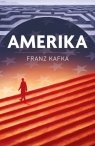 Amerika Sidney Perkowitz