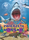 Zwierzęta morskie Skrok Anna