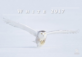 Kalendarz 2017 Biały EX