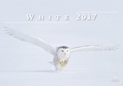 Kalendarz 2017 Biały EX