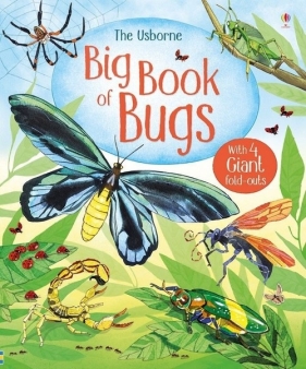 Big Book of Bugs - Emily Bone