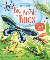 Big Book of Bugs - Bone Emily